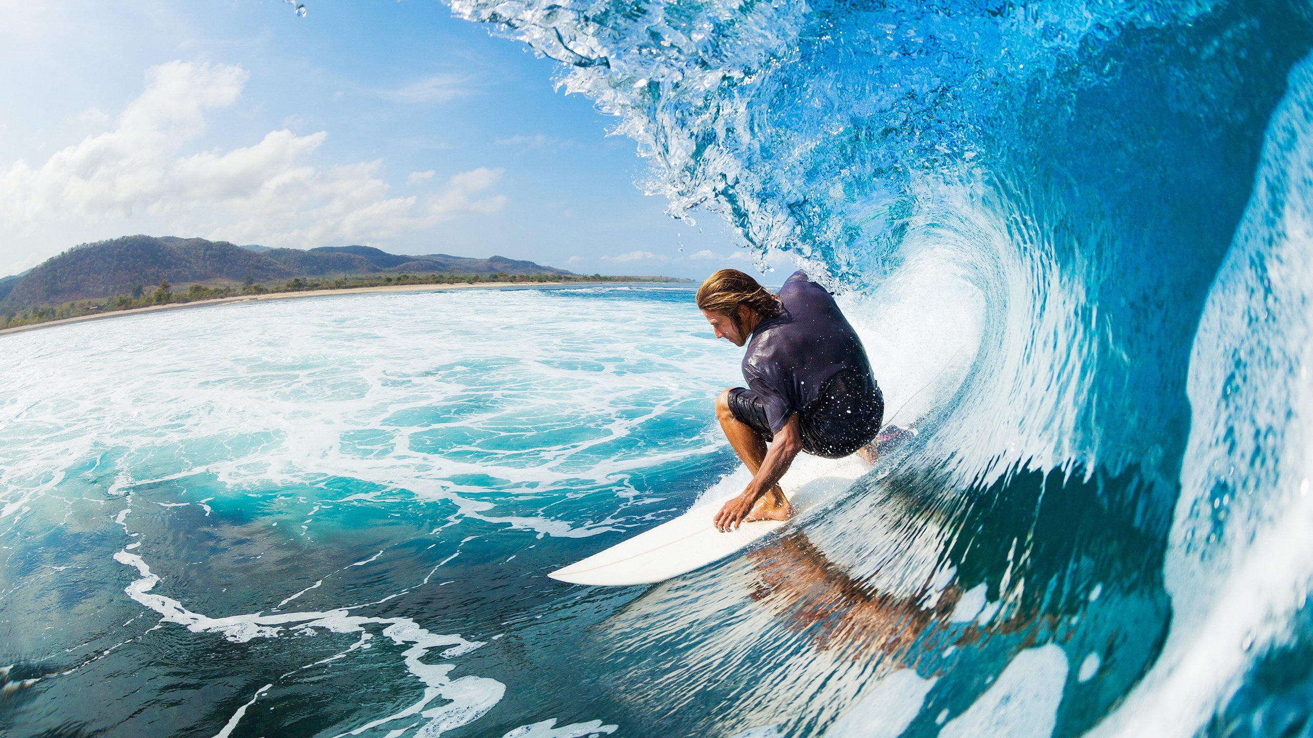 从狼王到熊掌,爱德华兹的季后赛接管与森林狼的残酷进化