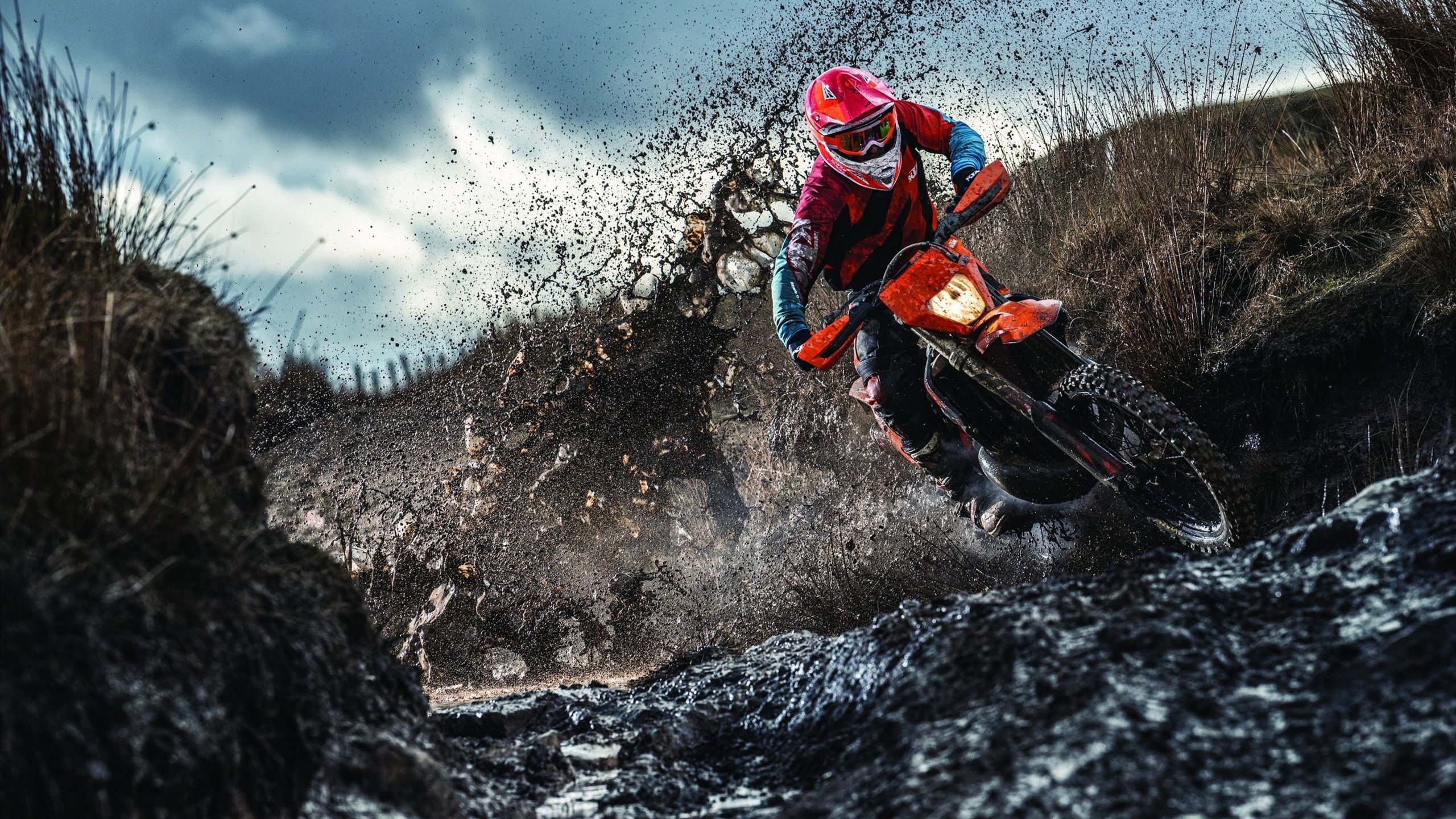 广厦轻取森林狼，伦纳德欧冠决赛接管，体育世界里的错位与归一